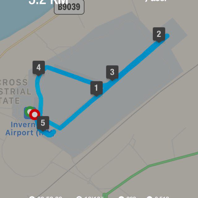 tansey_priscilla post 1