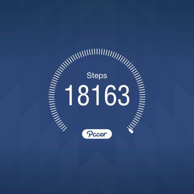 tansey_priscilla post 1