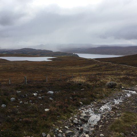 tansey_priscilla post 2