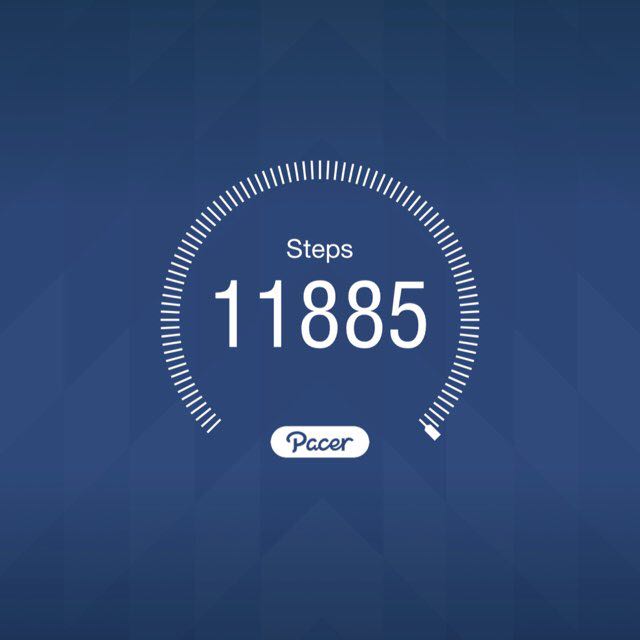 tansey_priscilla post 1