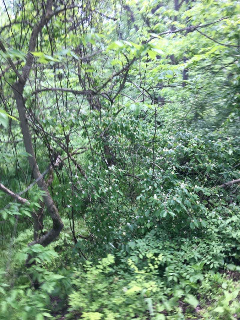 walking near me in Blacklick Park in winter