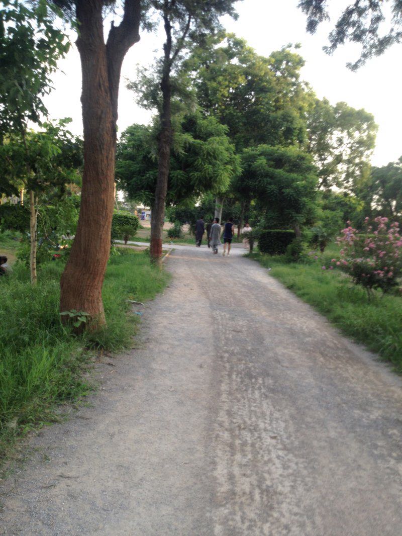 walking near me in Allama Iqbal Park in winter