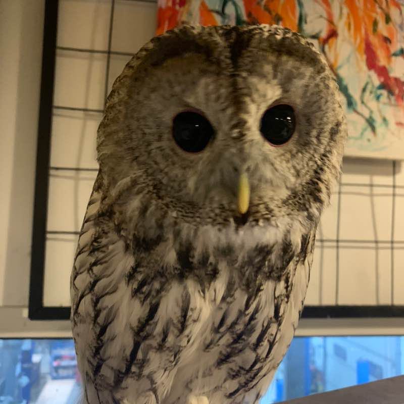 Роман Кнудэ post 1