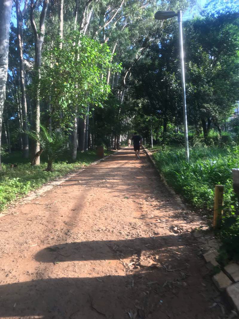 walking near me in Parque Piqueri in summer