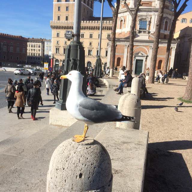 Jurij 🚶‍♂️🚶‍♂️🚶‍♂️🚶‍♂️🤗 post 1