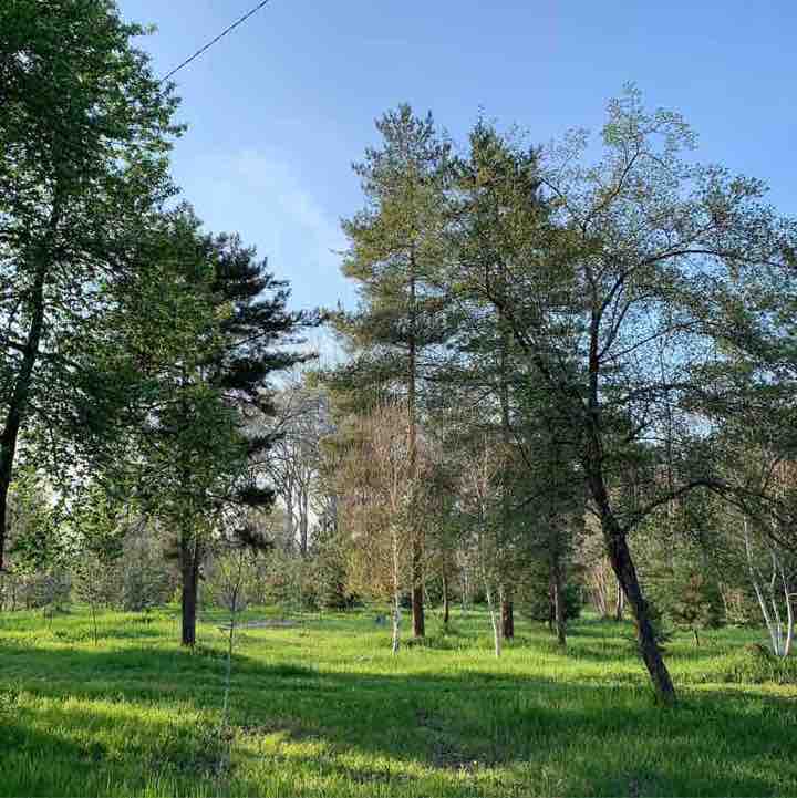 Люба 77 VL post 3