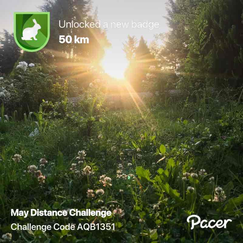 omid.mardan post 1