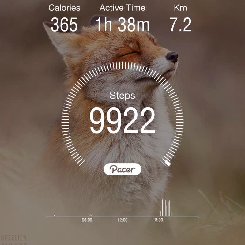 elham🇮🇷 post 1