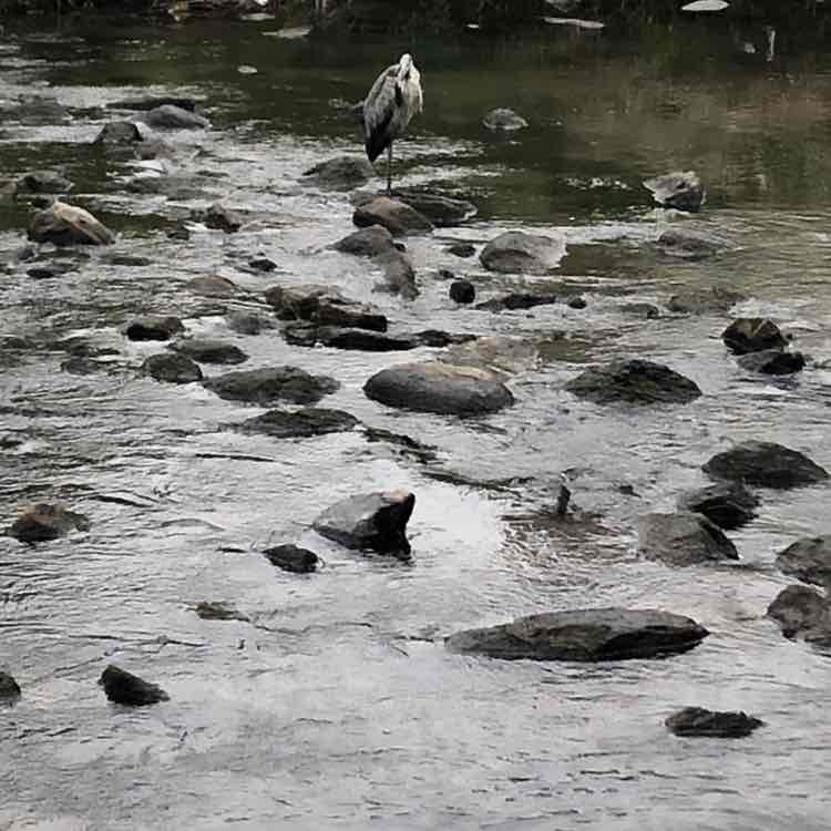 🍀해랑🍀 post 3