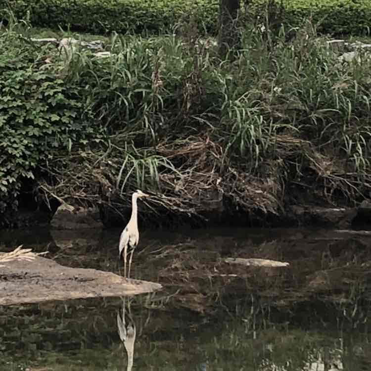 🍀해랑🍀 post 2