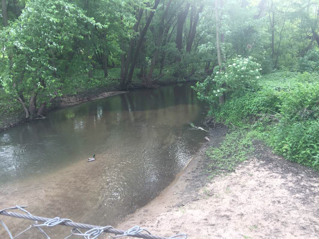 walking near me in Bunger Park in winter