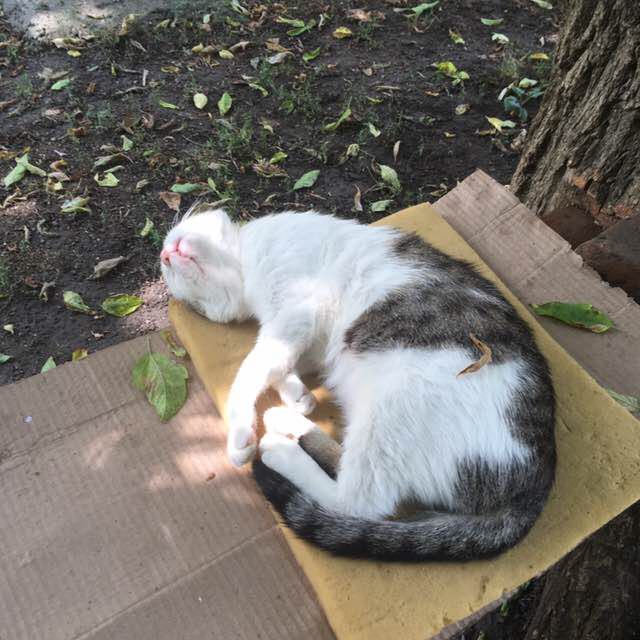 Станислав Юхт post 3