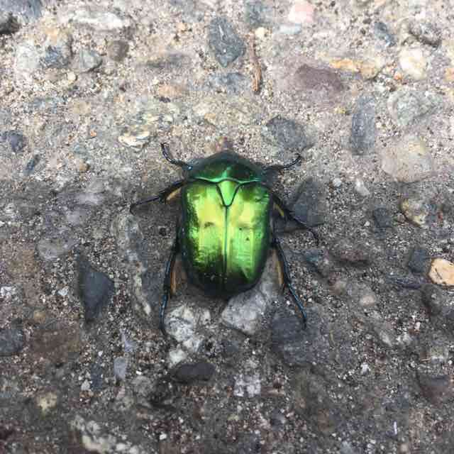 Станислав Юхт post 2