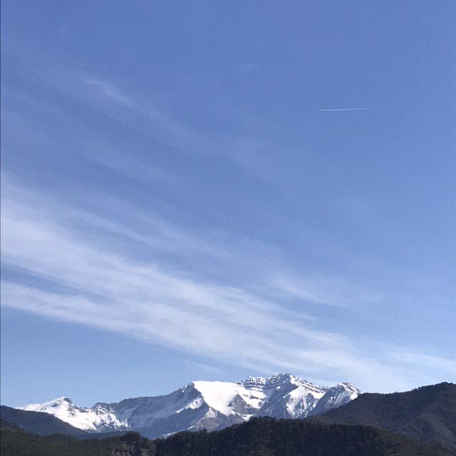 Sandrine 🍏 post 1