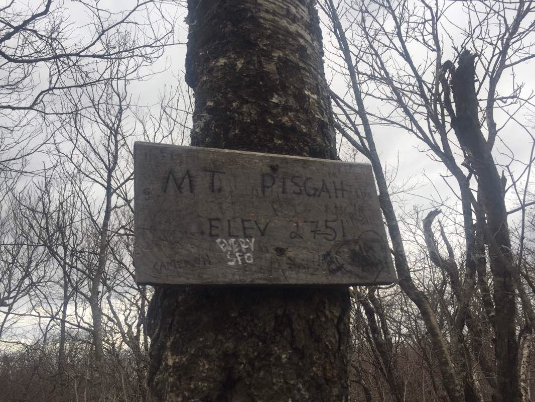 walking near me in Willoughby State Forest in winter
