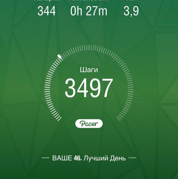 PacerЧувак_1984 post 1