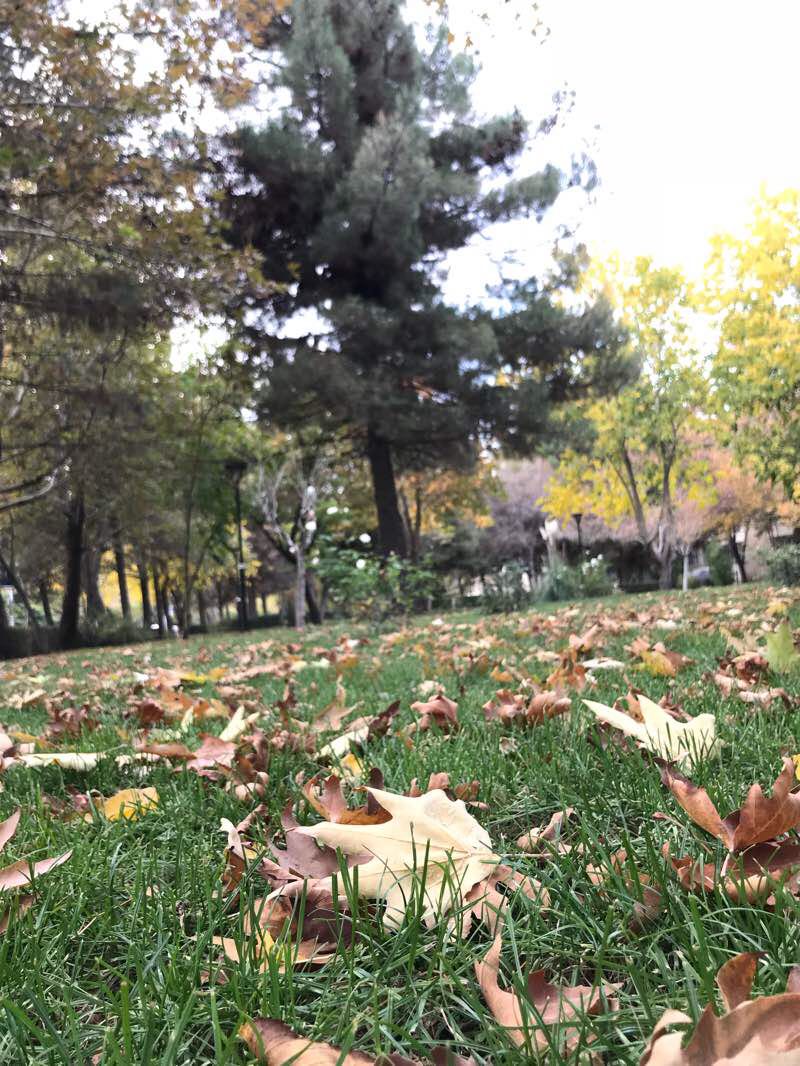 walking near me in 512 Apartment Complex in winter