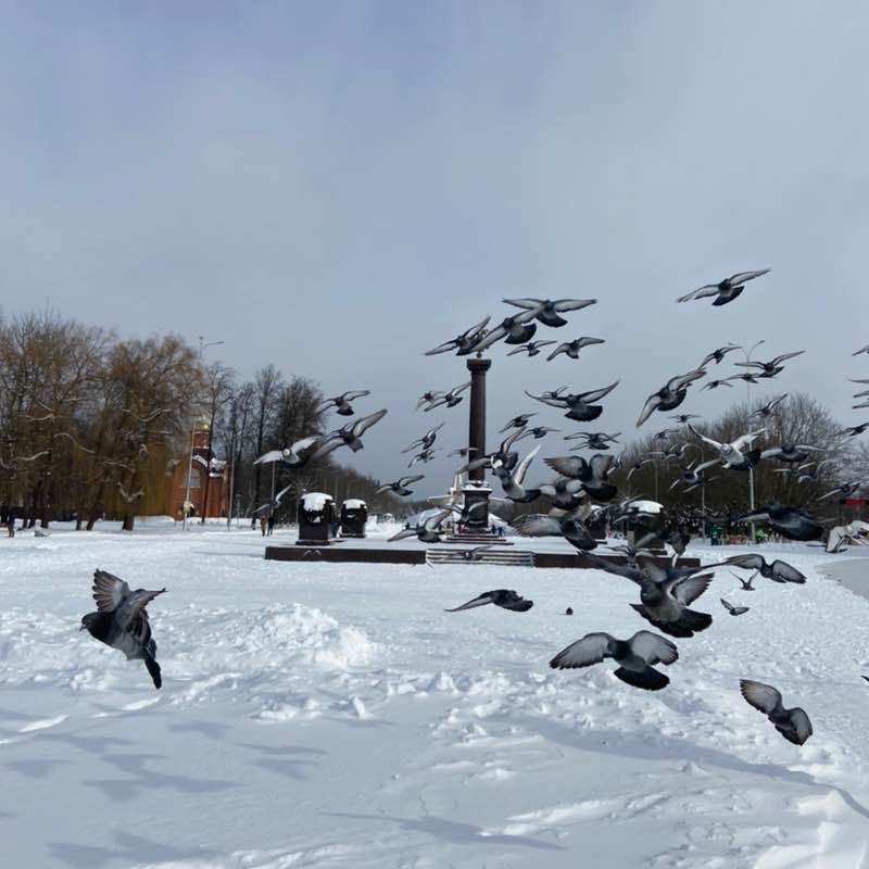 Светлана🚳 post 1