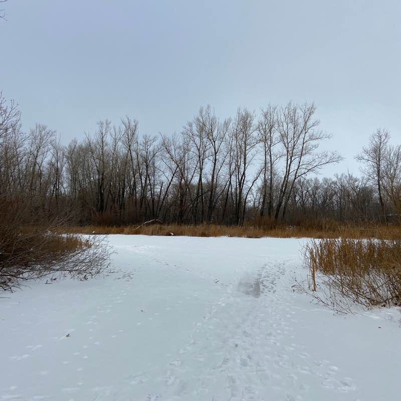 Светлана🚳 post 2