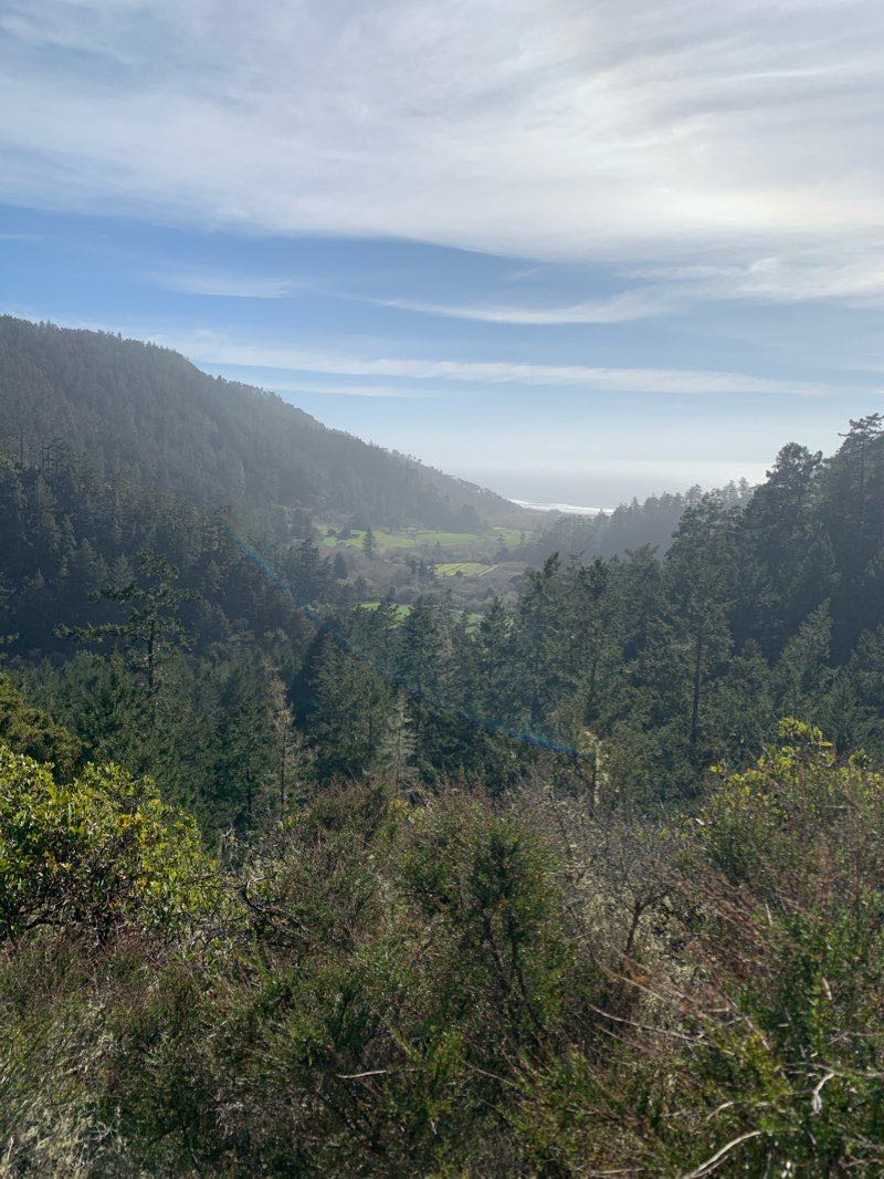 walking near me in West Waddell Creek State Wilderness in winter