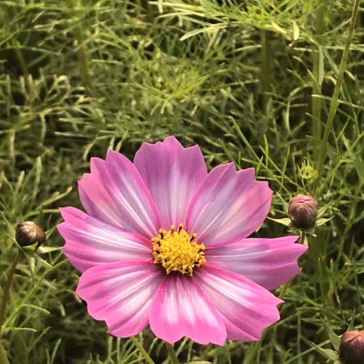 ✨💕HappyLim💕✨ post 3