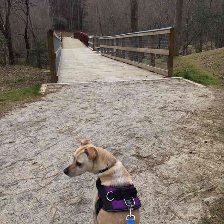 Chirocarpenter post 1