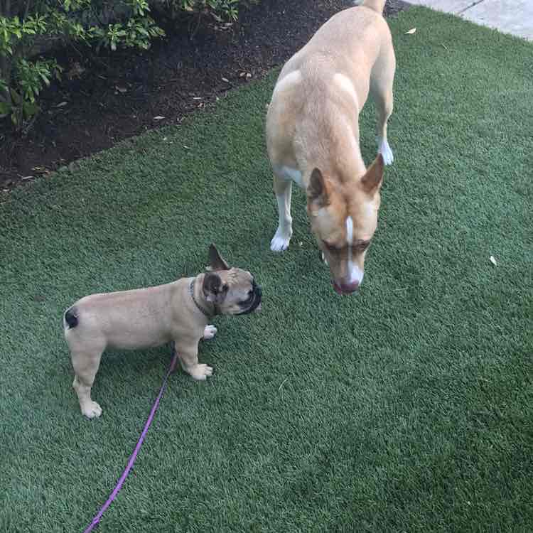 kristinscheurer post 2