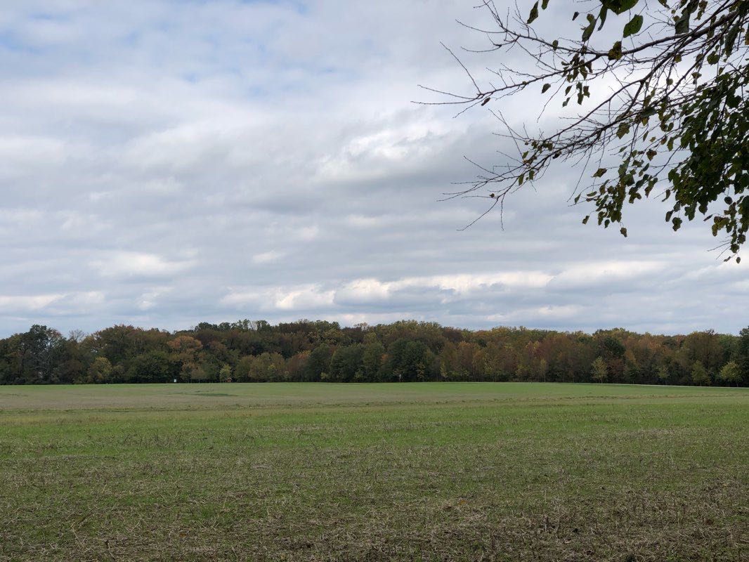 walking near me in North Point State Park in winter