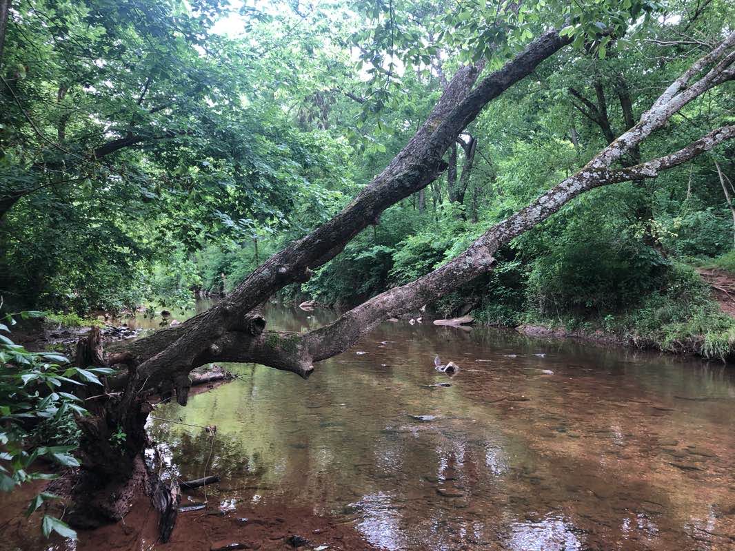 walking near me in Seneca Creek State Park in winter