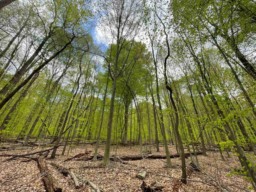 walking near me in Monocacy Natural Resource Management Area in winter