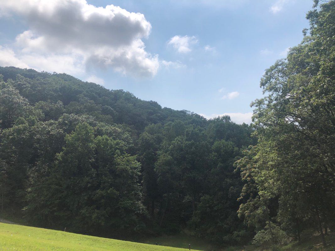 walking near me in Greenbrier State Park in winter