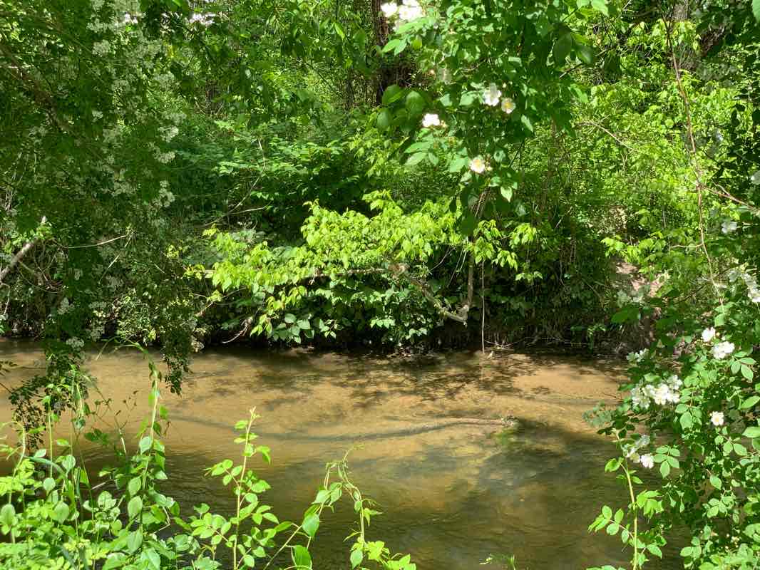 walking near me in William H. King Memorial Park in winter