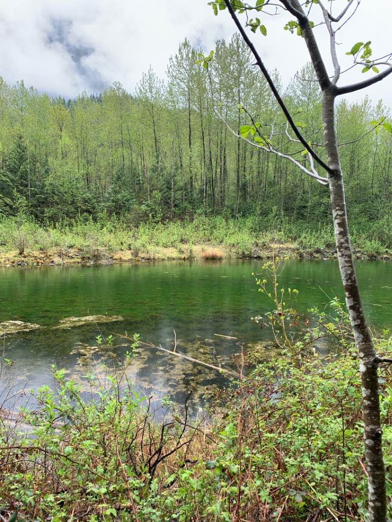walking near me in Chilliwack River Provincial Park in winter