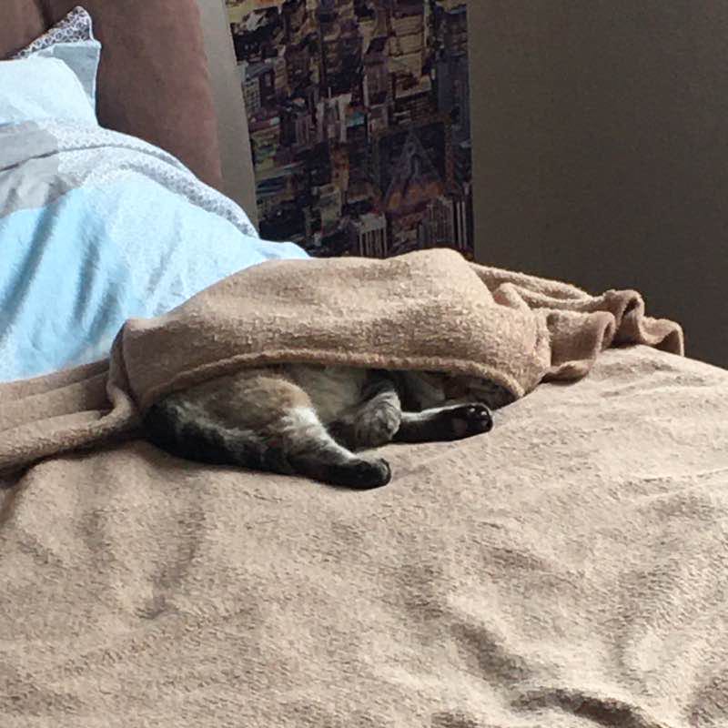 Андрей 🇷🇺🌋🇷🇺 Труден путь к совершенству, но осилит дорогу идущий 👊🏻🏆 post 2