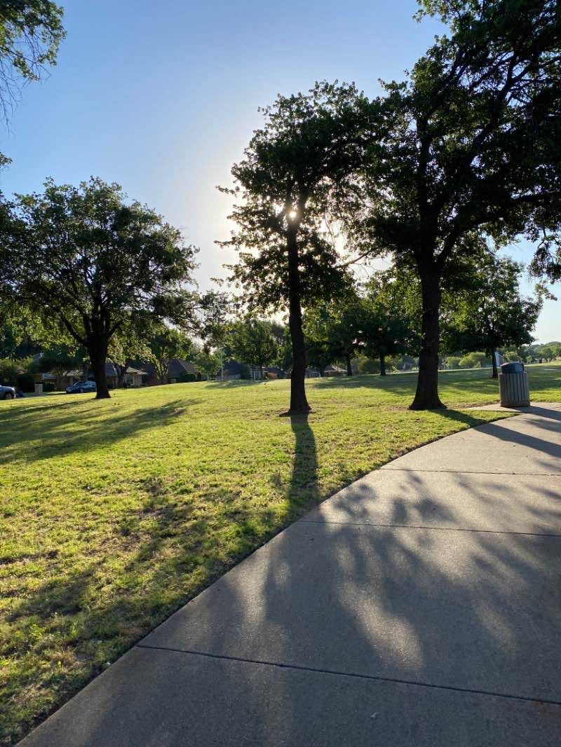 walking near me in Winbledon Park in winter
