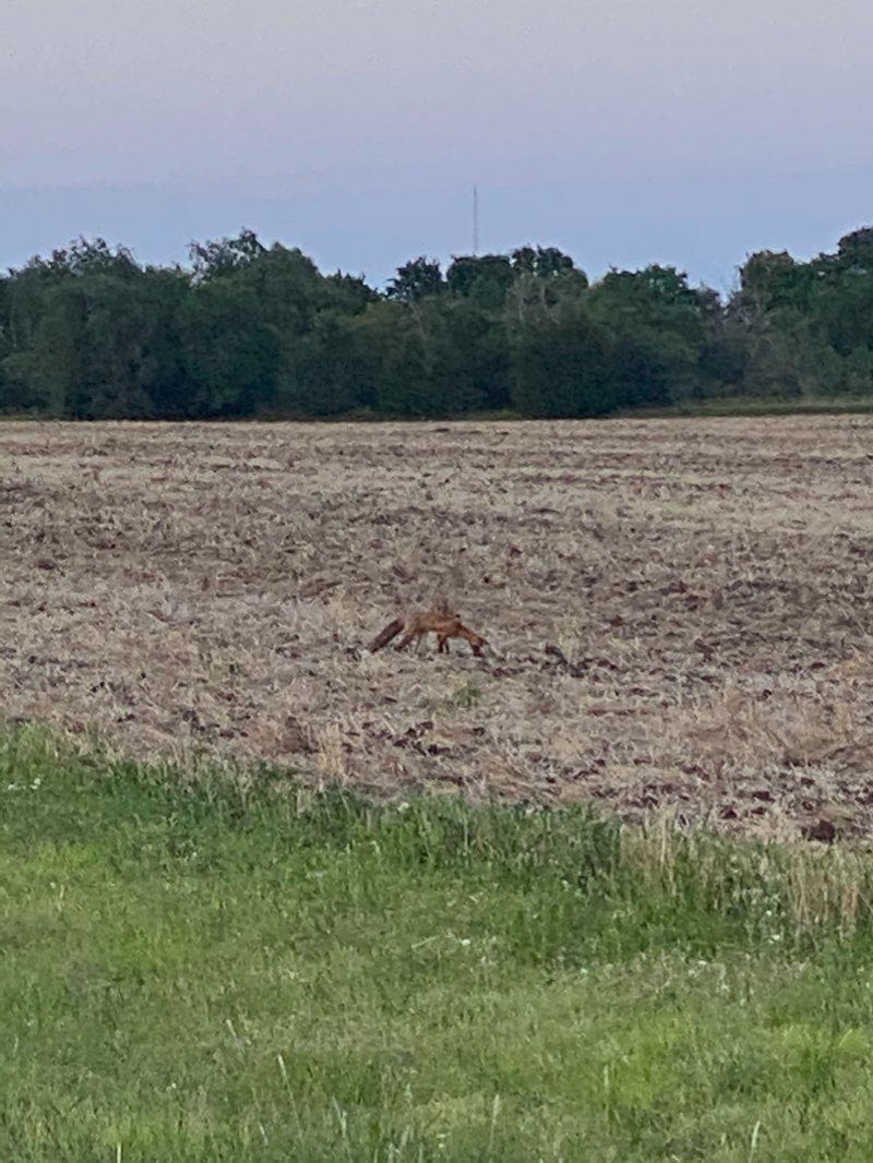 walking near me in Wall Bicentennial Park in winter