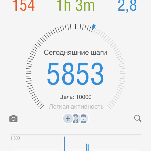 Лапки Машка 🎄🍾🎊🎁🐶 post image