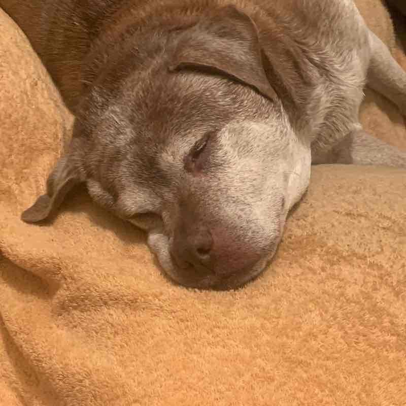 anjjela.thomas post 1