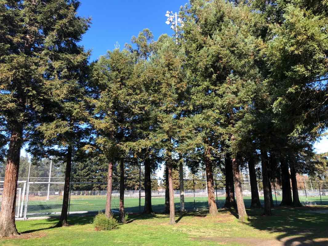 walking near me in Red Morton Community Park in winter