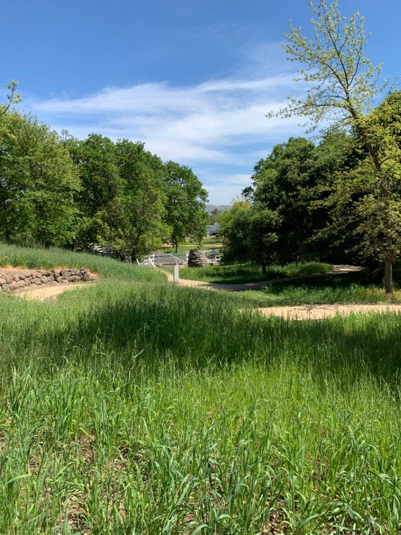 walking near me in Pleasanton Ridge Regional Park in winter