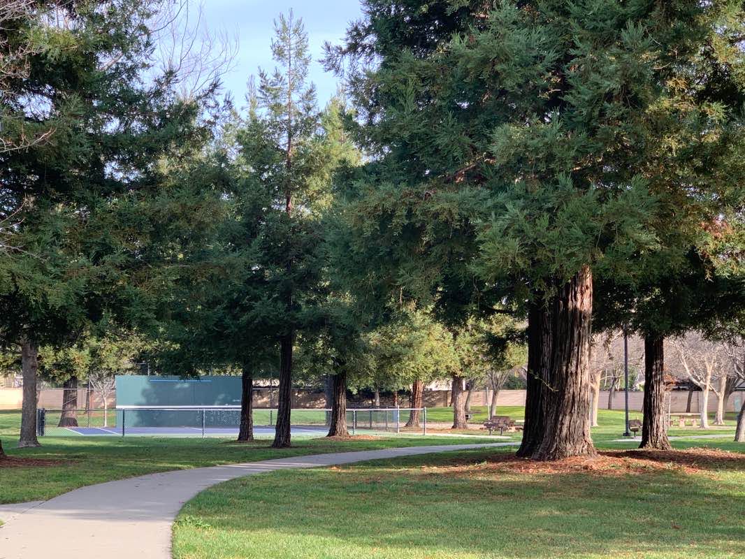 walking near me in Fairlands Park in winter