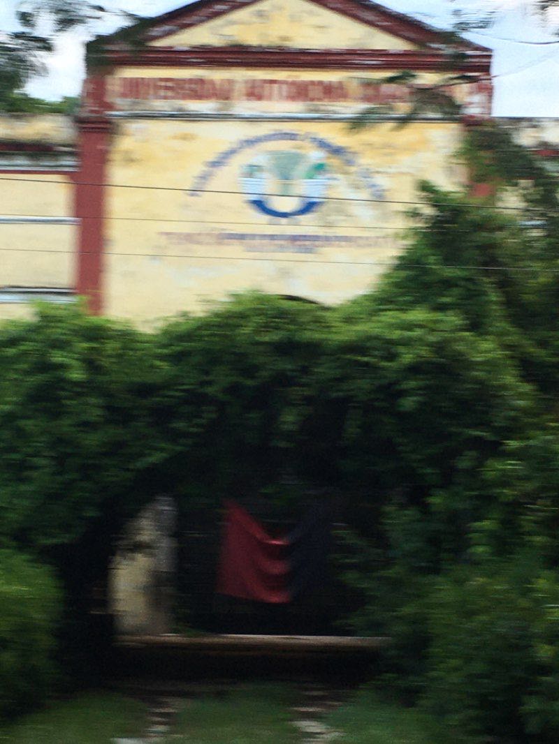 walking near me in Parque principal de Cholul in winter