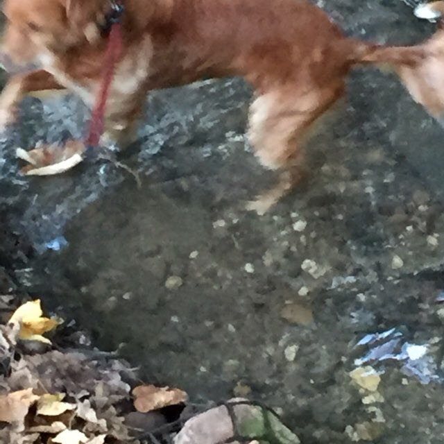 Keko👻🐣🦎🚀🌪 post 3