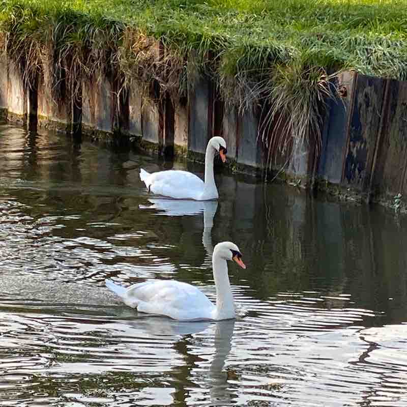 dimuccio.michel post 2