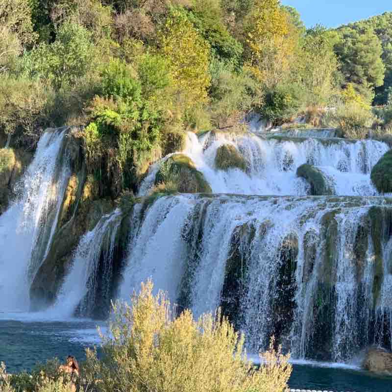 dimuccio.michel post 2