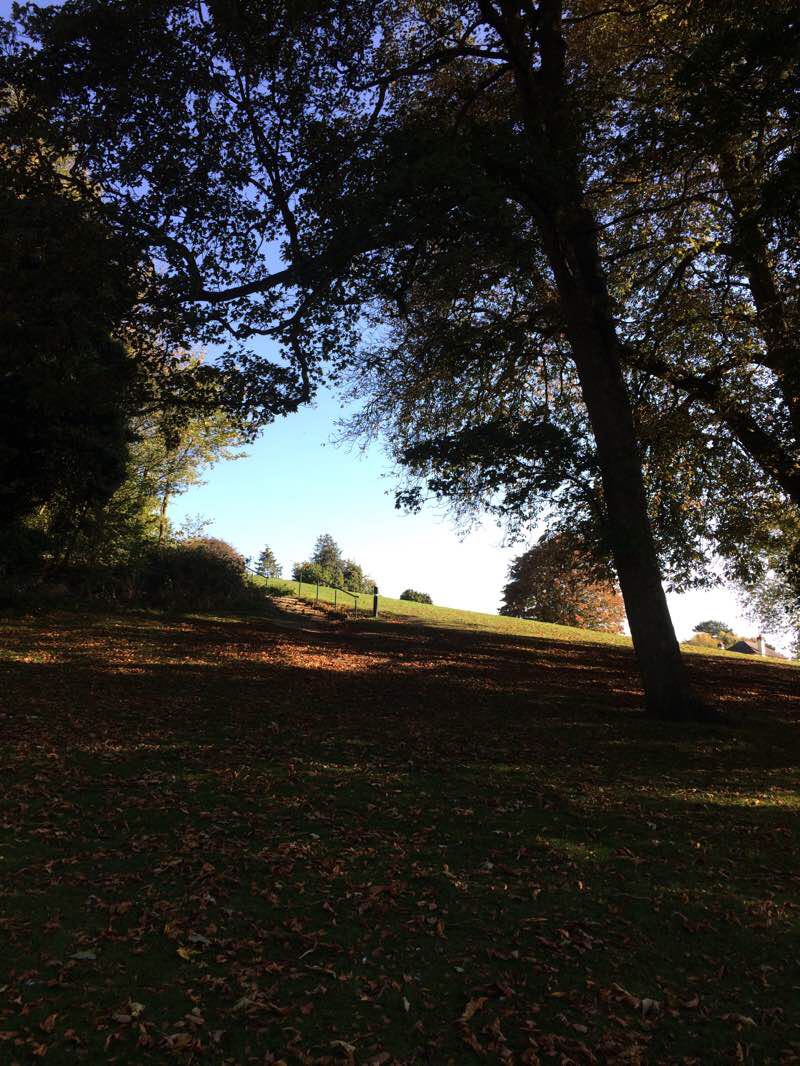 walking near me in Mary Stevens Park in winter