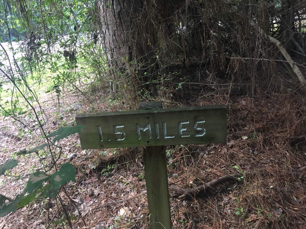 walking near me in North Toledo Bend State Park in winter