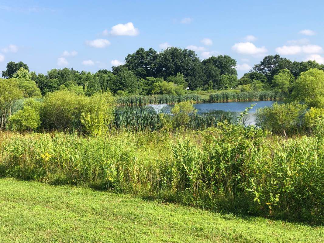 walking near me in Munro Community Park in winter