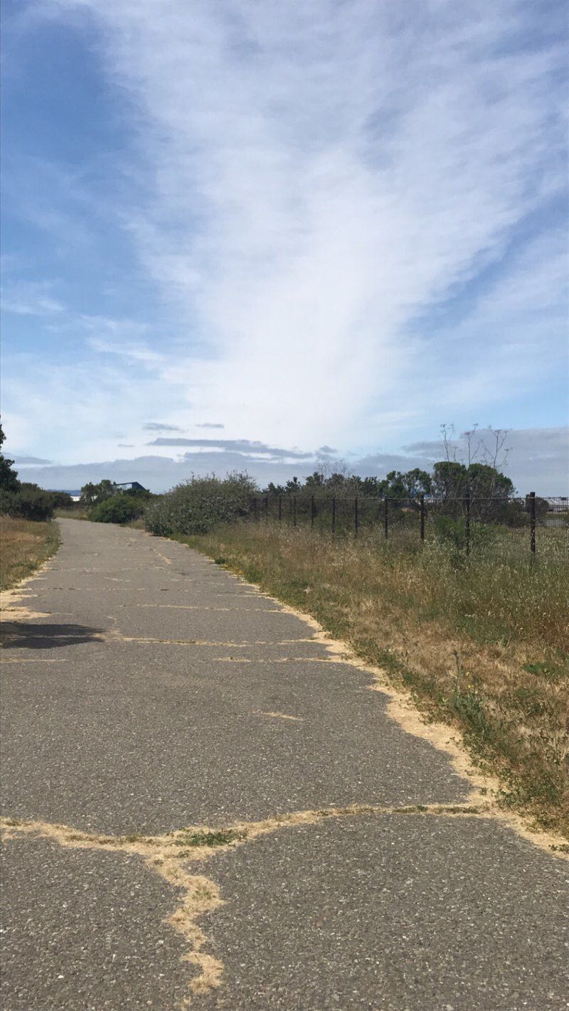 walking near me in Arrowhead Park in winter