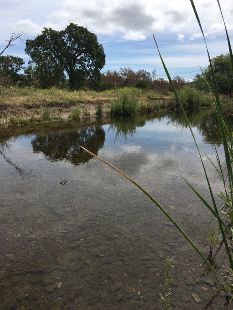 walking near me in Sycamore Grove Park in winter